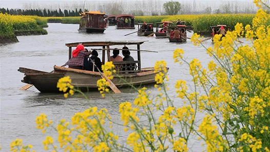 生态环境部：五个方面体现我国生态保护的显著成效