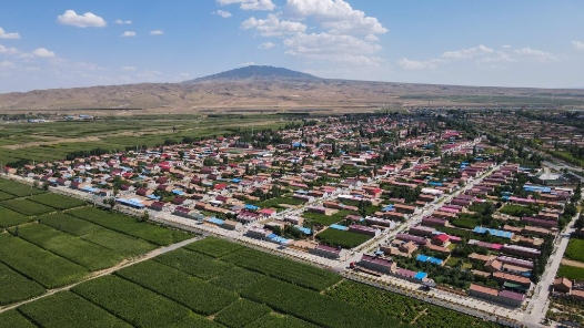 中国这十年丨中国乡村巩固脱贫攻坚成果谋振兴