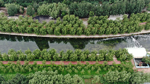 奋进新征程 建功新时代丨沈阳细河：从昔日“龙须沟”到今日“文化之河”