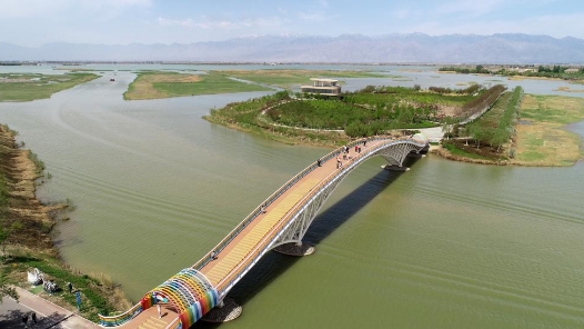 奋进新征程 建功新时代丨万顷碧波重现塞上——宁夏沙湖生态环境综合治理成效观察