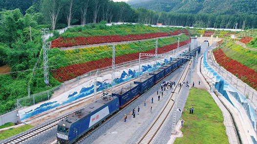 新春走基层｜“菜篮”丰足惠民生