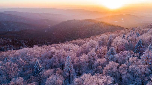 中国这十年·系列主题新闻发布丨吉林：高质量发展奋力迈进 重点产业蓬勃兴旺