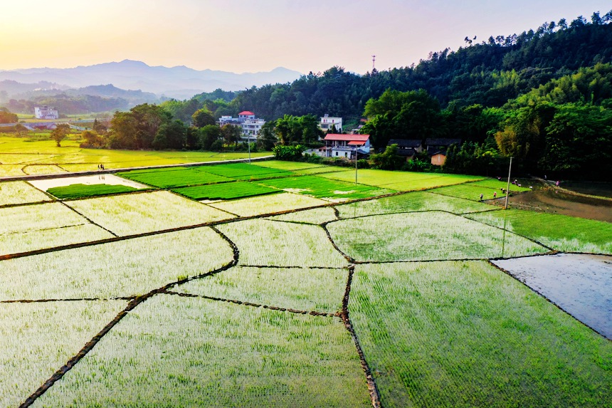 航拍镜头下的江西省赣州市全南县陂头镇正河村.李凡钦摄