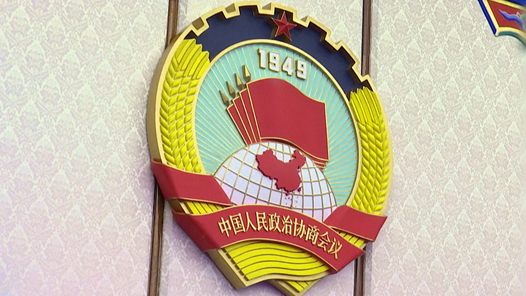 中国这十年｜新时代人民政协工作取得历史性成就