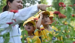 农民工子女乐享缤纷暑期 | 广西200名“阳光少年”共聚成长营
