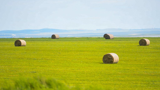 中国这十年·系列主题新闻发布丨内蒙古坚持走生态优先绿色发展之路