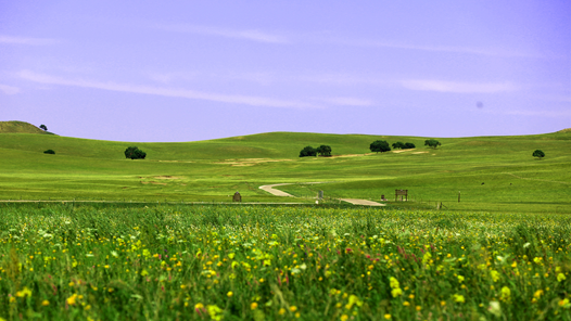 中国这十年·系列主题新闻发布丨内蒙古：打造祖国北疆亮丽风景线