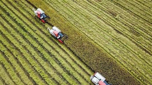 走进县城看发展丨辽宁省昌图县：提高农业综合生产能力助增收