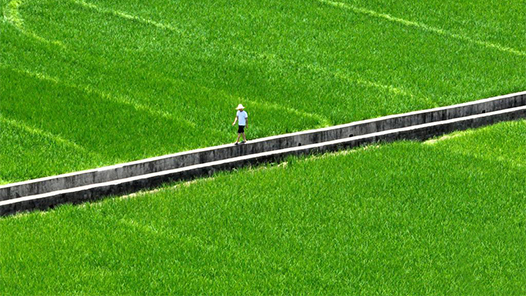 如何守住耕地红线？自然资源部：可以用五个“严”来概括