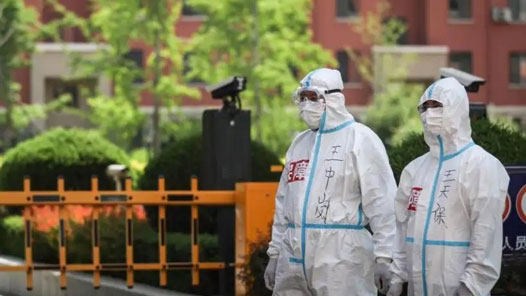 31省新增本土“262+1239” 在海南、西藏等地