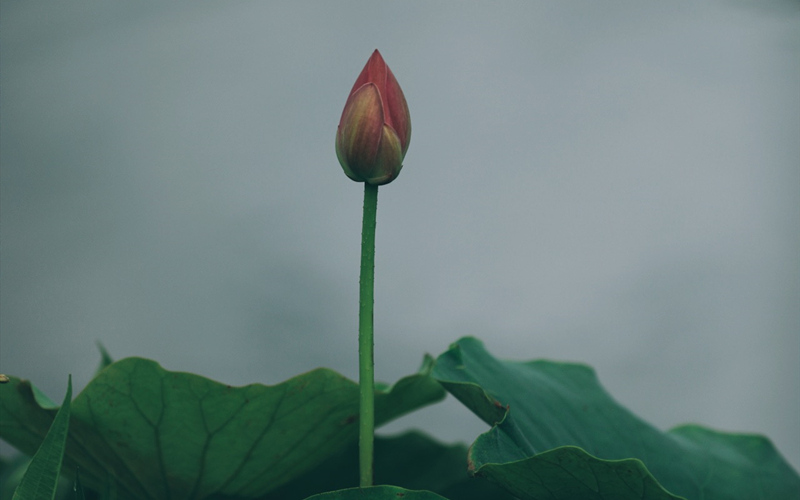 LOCAL16614834922130B6O1W99FD