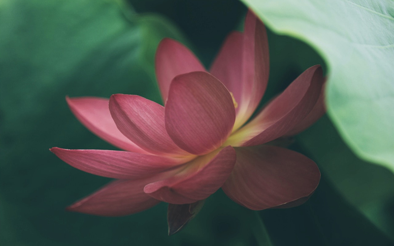 LOCAL1661483492251E48L45OIPV