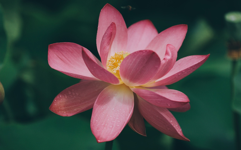 LOCAL1661483492284BCONHTU0Q5