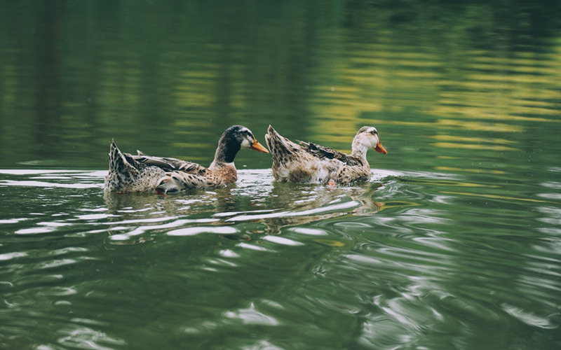 LOCAL16614834922978QN4DZRSI0