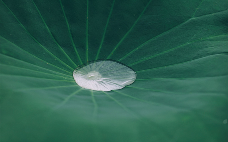 LOCAL1661483492325SCXF9XZPYM