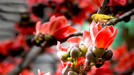 自然资源部：十年来 自然资源治理体系和治理能力现代化水平得到提升