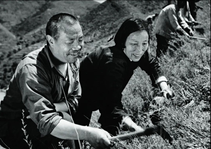 16621954608131126_1080x764