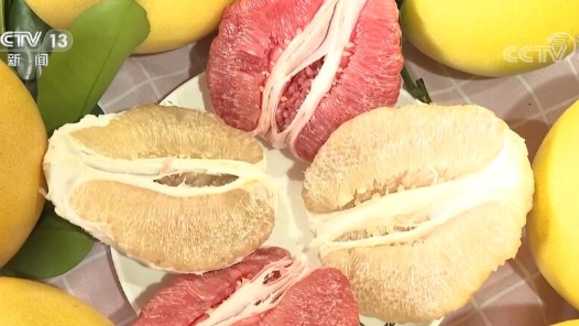 牢记初心使命 奋进复兴征程｜让乡亲们的日子像金柚一样甜美