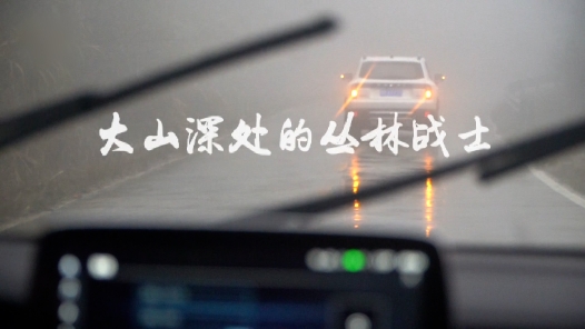 这十年·奋斗在路上丨大山深处的丛林战士