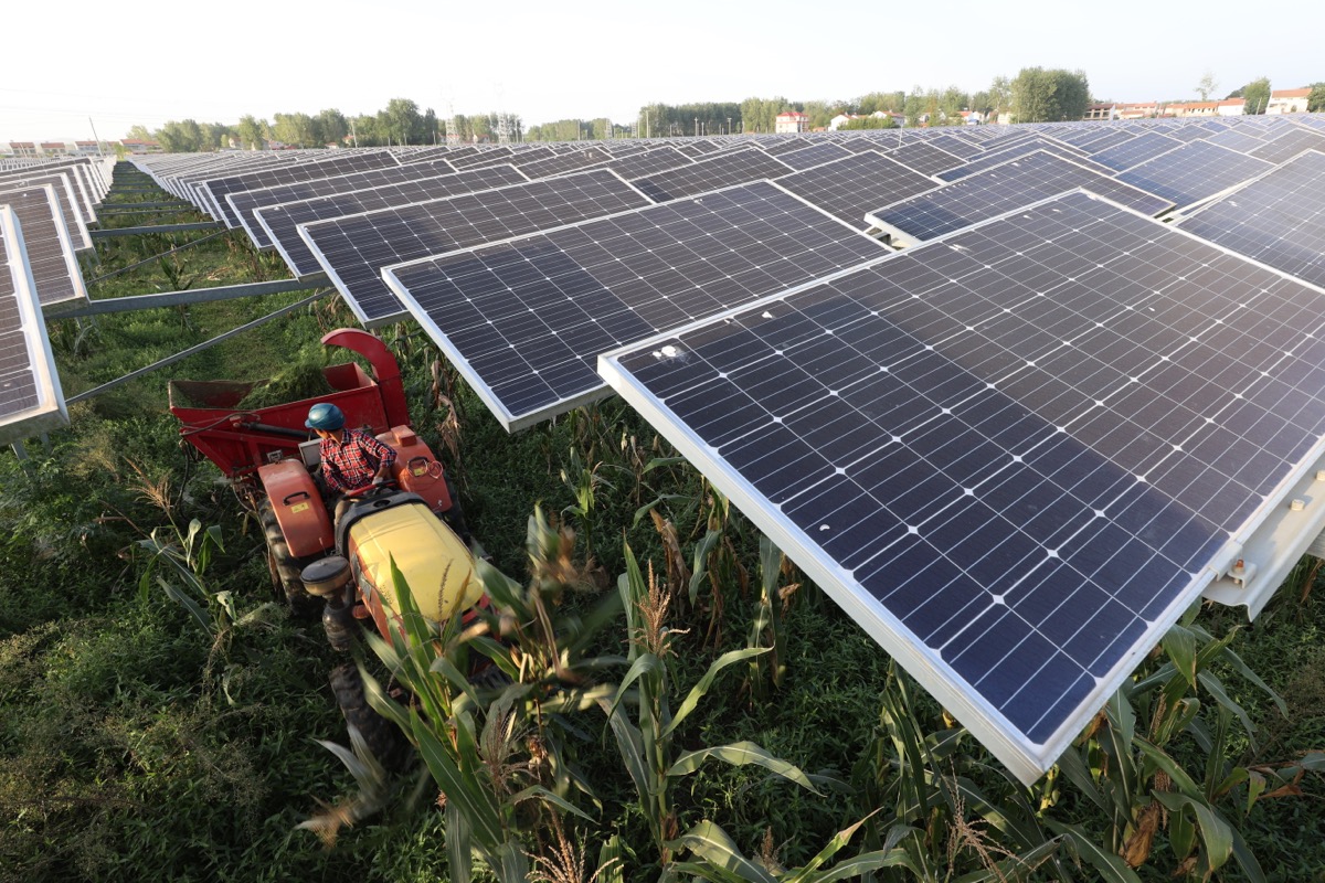 农光互补不闲田绿色电网景如画