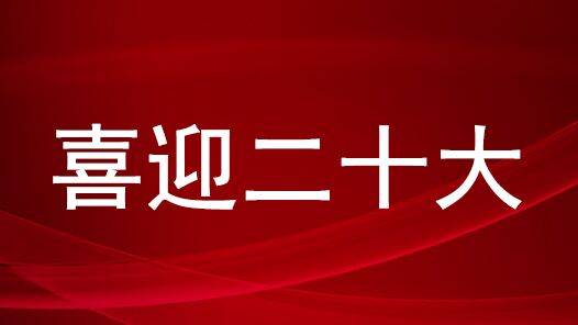 喜迎二十大｜撸起袖子加油干 拼搏奋斗创佳绩