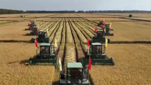 喜迎二十大丨锐意进取谋发展 创新实干迎盛会