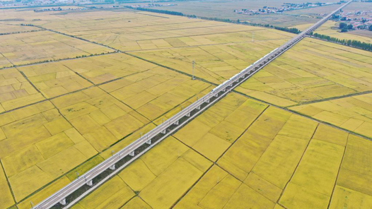 喜迎二十大丨吉林：抢抓机遇锐意创新