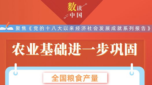 数读中国丨这十年，中国饭碗端得更稳、成色更足