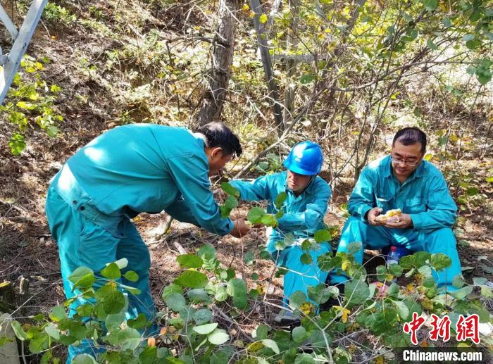 饼子、榨菜、香肠、矿泉水是巡视人员的午餐标配。　国网山西省电力公司供图