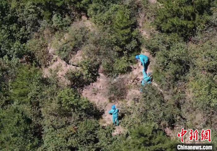 528c1d5d-3958-4b52-8545-23c859e968fb_zsite