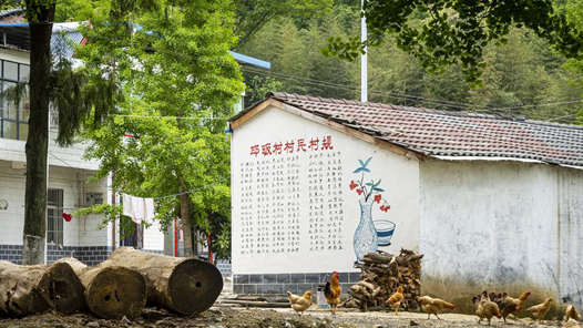 住房和城乡建设部：全国2341.6万户建档立卡贫困户实现住房安全有保障