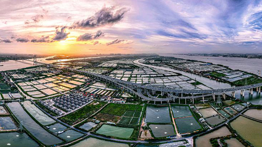 喜迎二十大丨广东：扬帆起航 走在前列