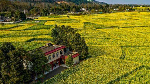 中国这十年·系列主题新闻发布丨百姓安居乐居 城乡面貌一新