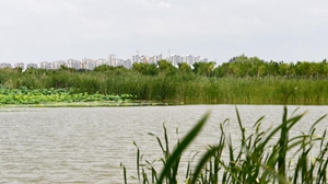 生态环境部：生态环境领域现行法律达到30余部 覆盖全领域