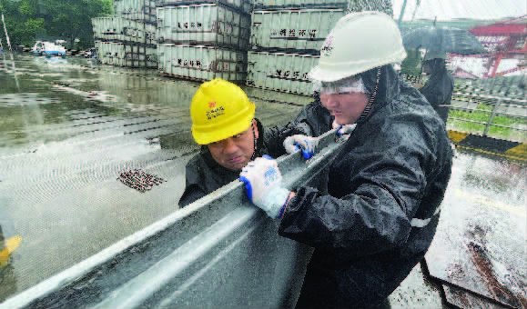 915763d056563faa0e4593b2503254f5