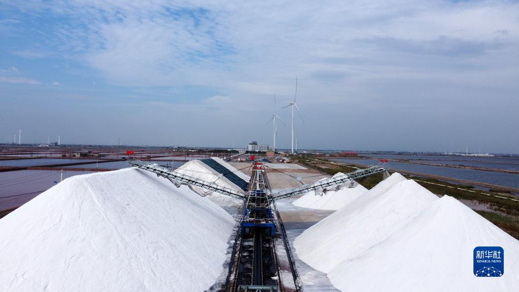 天津多彩盐田迎丰收