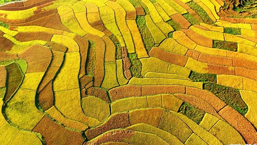 中国这十年·系列主题新闻发布丨党的十八大以来美丽中国建设迈出重大步伐