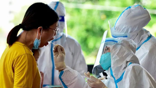 31省新增本土“102+746”，在四川、贵州等地