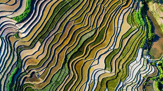 自然资源部：十年来 基础测绘能力显著提升 地理信息服务领域不断拓展