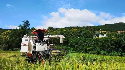 中国这十年·系列主题新闻发布丨自然资源部：坚持底线思维 有力保障资源供给