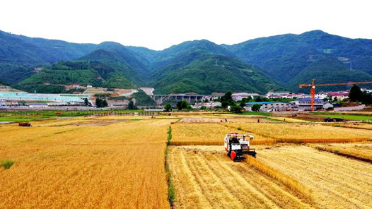 中国这十年·系列主题新闻发布丨十年来耕地保护工作取得了明显成效