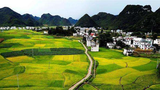 喜迎二十大丨广西紧抓特色产业提质增效