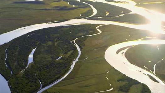 喜迎二十大丨河南：擦亮创新发展新名片