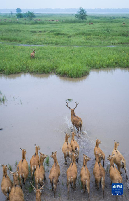 1129039798_16643734344381n 1129039798_16643734344381n