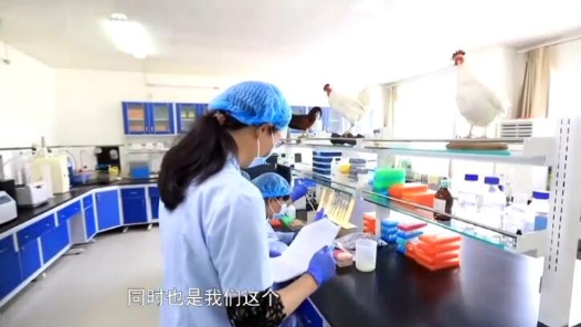 科技创新助力家禽种业发展