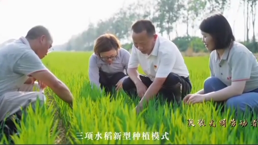 “农”情“米”意 生生不息