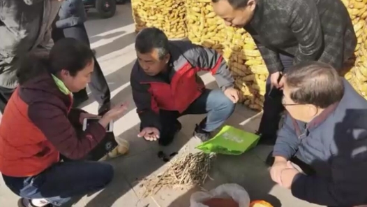 护好一粒种 守好天下粮