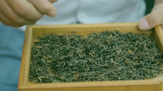 高香茶班领头雁