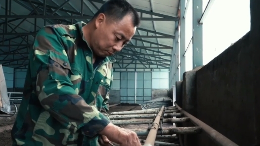 匠心筑梦 天边草原
