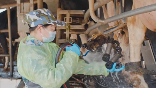 平凡岗位守初心 勤勉奉献树标杆